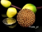 Thumb_25-zloto1